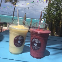 Nola Darlin’: Louis & Steen’s Coffeehouse